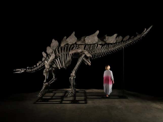 Image for article titled Ken Griffin's $44 million dinosaur is going on public display