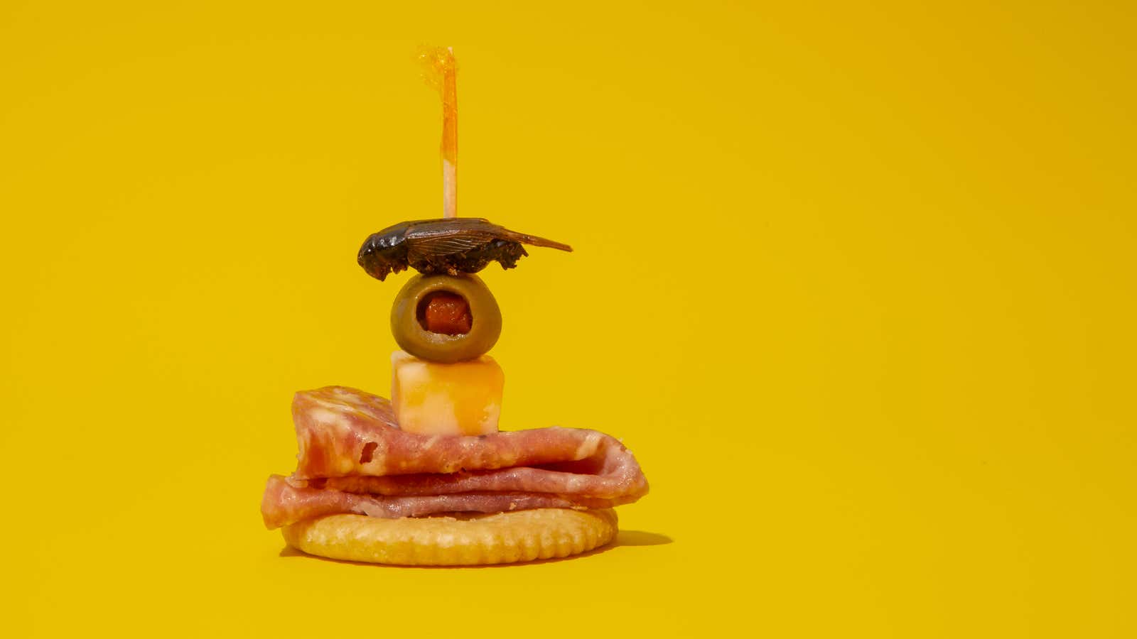 Edible bugs: The original superfood